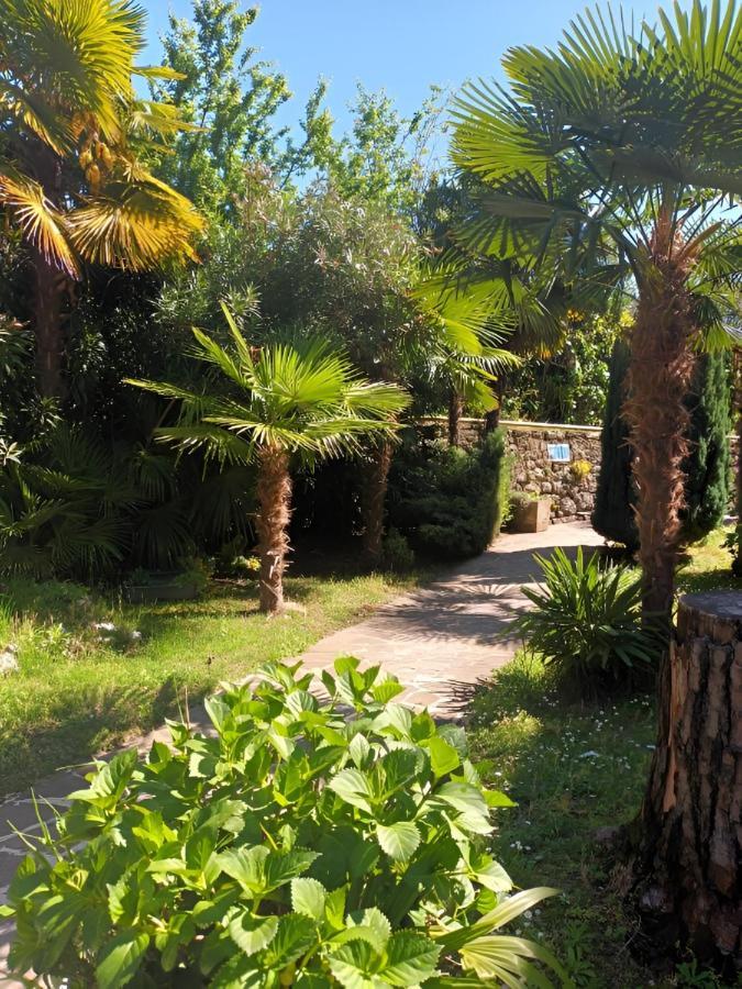 Appartamento Waterfall & Pool *